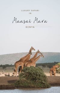 Welcome To the Masai Mara